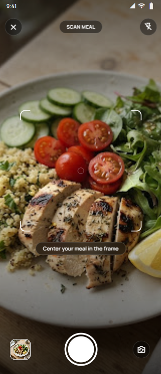 DishRay camera screen framing a meal